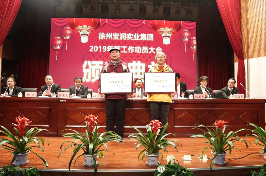 万搏线上平台,万搏（中国）2019年度工作动员大会---集团公司领导为先进单位和先进个人代表颁奖